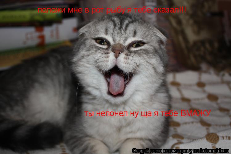 положи мне в рот рыбу я тебе сказал!!! ты непонел ну ща я тебе ВМАЖУ... Котоматрица: положи мне в рот рыбу я тебе сказал!!! ты непонел ну ща я тебе ВМАЖУ