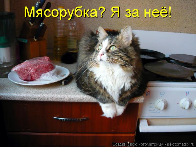 Мясорубка? Я за неё!... Котоматрица: Мясорубка? Я за неё!