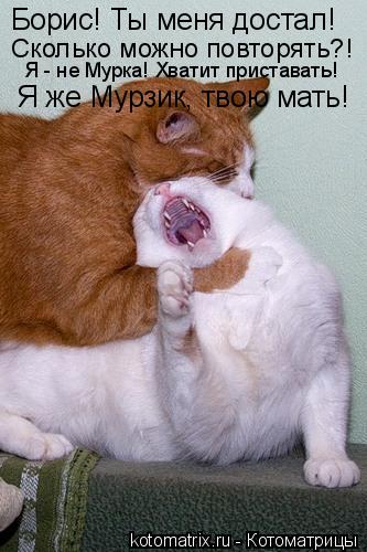 Борис! Ты меня достал! Сколько можно повторять?! Я - не Мурка! Хватит приставать! Я же Мурзик, твою м... Котоматрица: Борис! Ты меня достал! Сколько можно повторять?! Я - не Мурка! Хватит приставать! Я же Мурзик, твою мать!