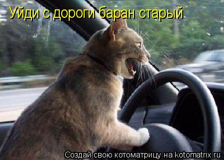 Уйди с дороги баран старый... Котоматрица: Уйди с дороги баран старый