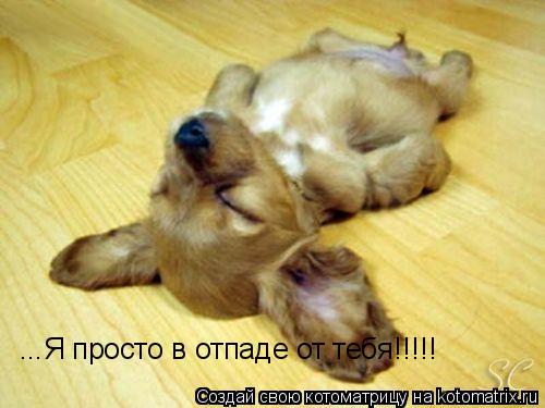 ...Я просто в отпаде от тебя!!!!!... Котоматрица: ...Я просто в отпаде от тебя!!!!!