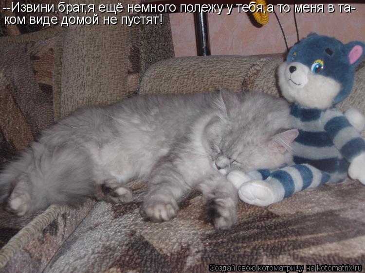 --Извини,брат,я ещё немного полежу у тебя,а то меня в та- ком виде домой не пустят!... Котоматрица: --Извини,брат,я ещё немного полежу у тебя,а то меня в та- ком виде домой не пустят!