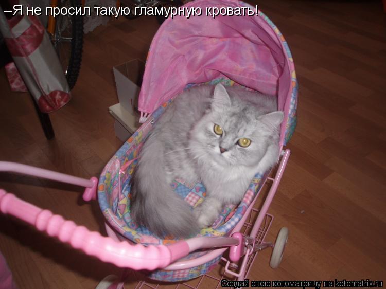 --Я не просил такую гламурную кровать!... Котоматрица: --Я не просил такую гламурную кровать!