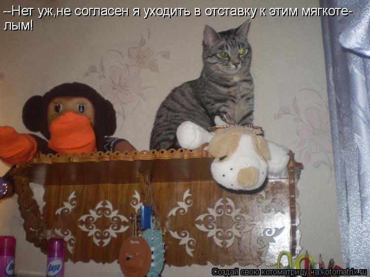 --Нет уж,не согласен я уходить в отставку к этим мягкоте- лым!... Котоматрица: --Нет уж,не согласен я уходить в отставку к этим мягкоте- лым!