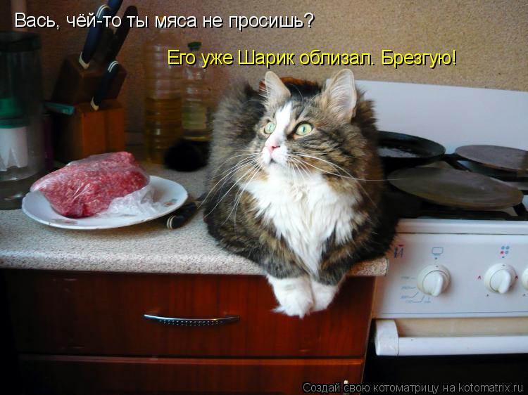 Вась, чёй-то ты мяса не просишь? Его уже Шарик облизал. Брезгую!... Котоматрица: Вась, чёй-то ты мяса не просишь? Его уже Шарик облизал. Брезгую!