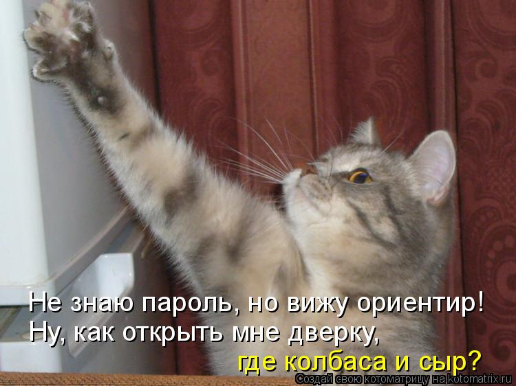 Не знаю пароль, но вижу ориентир! Ну, как открыть мне дверку, где колбаса и сыр?... Котоматрица: Не знаю пароль, но вижу ориентир! Ну, как открыть мне дверку, где колбаса и сыр?