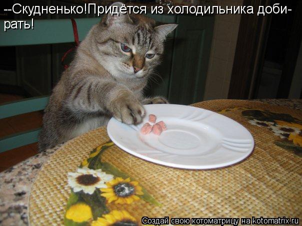--Скудненько!Придётся из холодильника доби- рать!... Котоматрица: --Скудненько!Придётся из холодильника доби- рать!