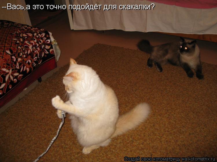 --Вась,а это точно подойдёт для скакалки?... Котоматрица: --Вась,а это точно подойдёт для скакалки?