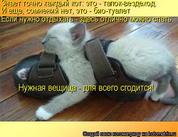 Знает точно каждый кот: это - тапок-вездеход. И еще, сомнений нет, это - био-туалет Если нужно отдыха... Котоматрица: Знает точно каждый кот: это - тапок-вездеход. И еще, сомнений нет, это - био-туалет Если нужно отдыхать - здесь отлично можно спать. Нужная вещи
