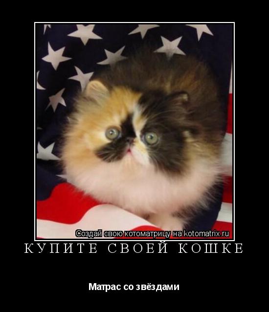 КУПИТЕ СВОЕЙ КОШКЕ Матрас со звёздами... Котоматрица: КУПИТЕ СВОЕЙ КОШКЕ Матрас со звёздами