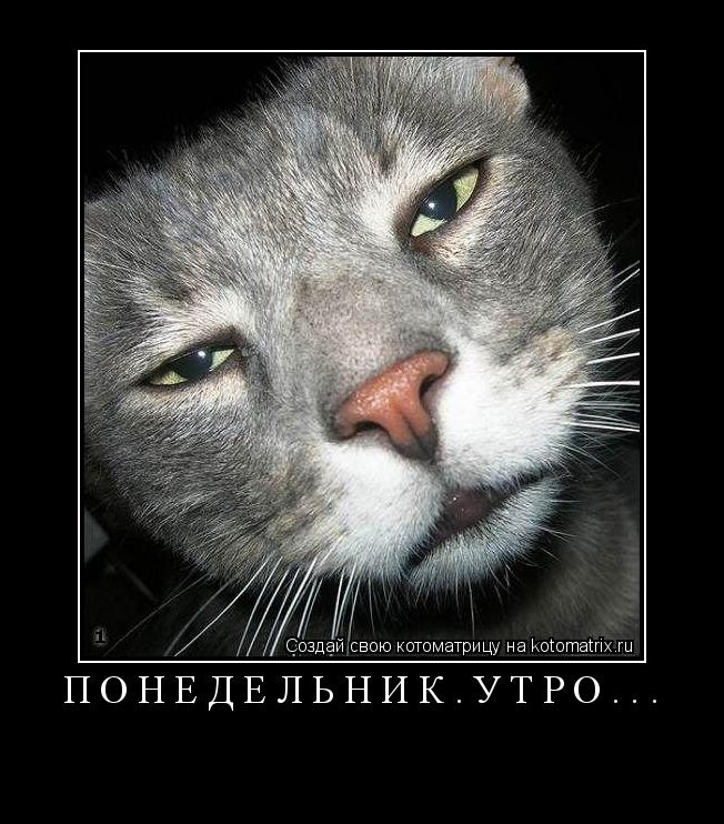 ПОНЕДЕЛЬНИК.УТРО... ... Котоматрица: ПОНЕДЕЛЬНИК.УТРО...