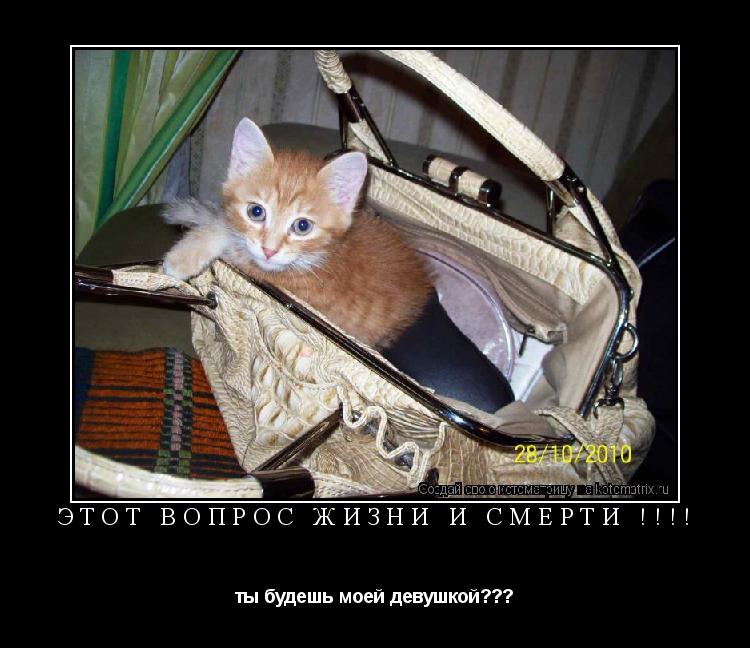 ЭТОТ вопрос ЖИЗНИ и Смерти !!!! ты будешь моей девушкой???... Котоматрица: ЭТОТ вопрос ЖИЗНИ и Смерти !!!! ты будешь моей девушкой???