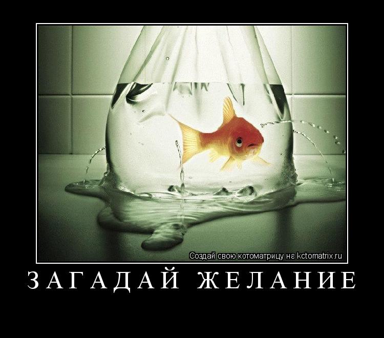 Загадай желание ... Котоматрица: Загадай желание