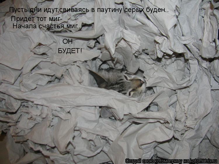 Пусть дни идут,свиваясь в паутину серых буден.. Придет тот миг- БУДЕТ! Начала счастья миг... ОН... Котоматрица: Пусть дни идут,свиваясь в паутину серых буден.. Придет тот миг- БУДЕТ! Начала счастья миг... ОН