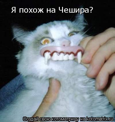 Я похож на Чешира?... Котоматрица: Я похож на Чешира?