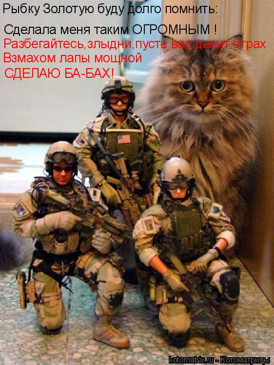 Рыбку Золотую буду долго помнить: Сделала меня таким ОГРОМНЫМ ! Разбегайтесь,злыдни,пусть вас давит с... Котоматрица: Рыбку Золотую буду долго помнить: Сделала меня таким ОГРОМНЫМ ! Разбегайтесь,злыдни,пусть вас давит страх Взмахом лапы мощной СДЕЛАЮ БА-БАХ