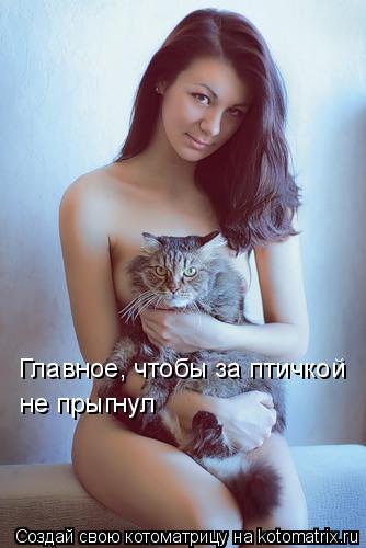 Главное, чтобы за птичкой не прыгнул... Котоматрица: Главное, чтобы за птичкой не прыгнул