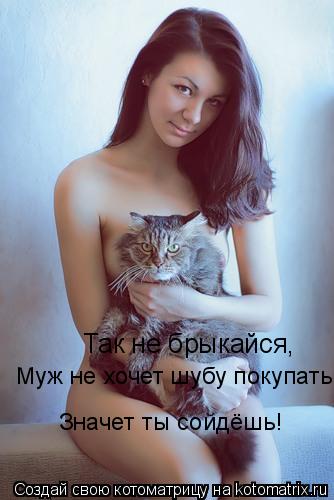Так не брыкайся, Муж не хочет шубу покупать, Значет ты сойдёшь!... Котоматрица: Так не брыкайся, Муж не хочет шубу покупать, Значет ты сойдёшь!