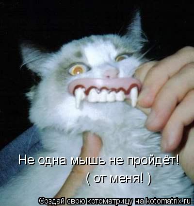 Не одна мышь не пройдёт! ( от меня! )... Котоматрица: Не одна мышь не пройдёт! ( от меня! )