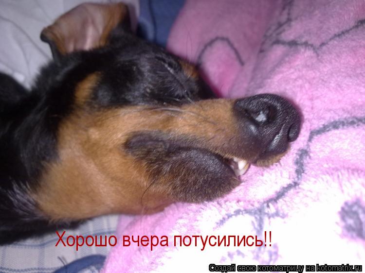 Хорошо вчера потусились!!... Котоматрица: Хорошо вчера потусились!!