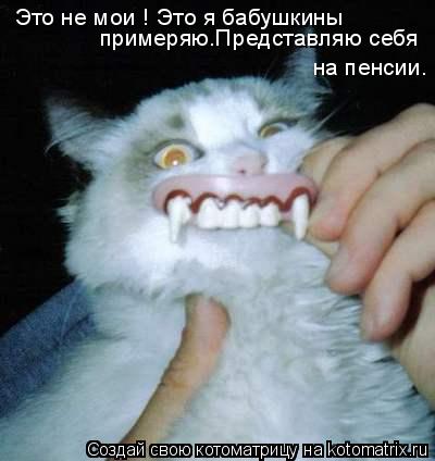 Это не мои ! Это я бабушкины примеряю.Представляю себя на пенсии.... Котоматрица: Это не мои ! Это я бабушкины примеряю.Представляю себя на пенсии.