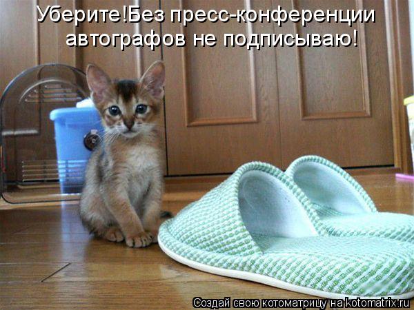 Уберите!Без пресс-конференции автографов не подписываю!... Котоматрица: Уберите!Без пресс-конференции автографов не подписываю!