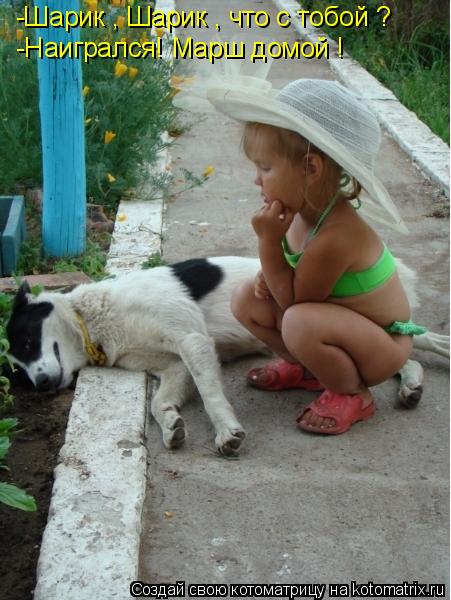 -Шарик , Шарик , что с тобой ? -Наигрался! Марш домой !... Котоматрица: -Шарик , Шарик , что с тобой ? -Наигрался! Марш домой !