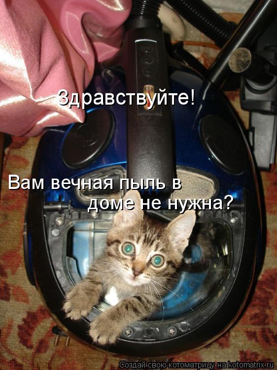 Здравствуйте! Вам вечная пыль в доме не нужна?... Котоматрица: Здравствуйте! Вам вечная пыль в доме не нужна?
