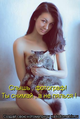 Слышь , фотограф! Ты снимай , а не пялься !... Котоматрица: Слышь , фотограф! Ты снимай , а не пялься !
