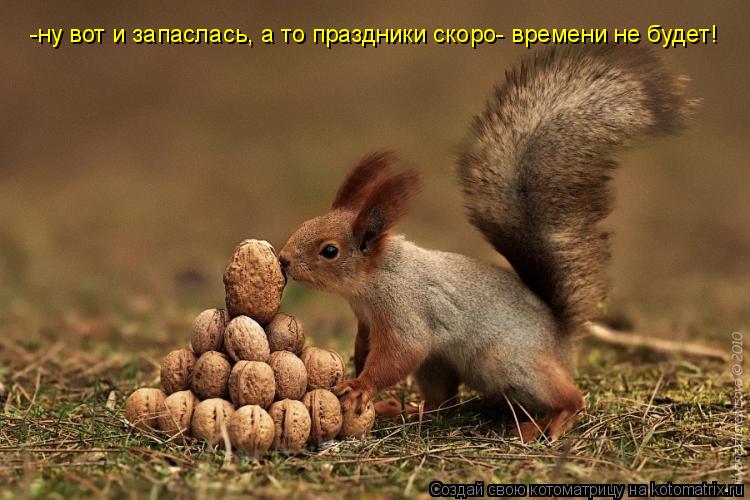 -ну вот и запаслась, а то праздники скоро- времени не будет!... Котоматрица: -ну вот и запаслась, а то праздники скоро- времени не будет!