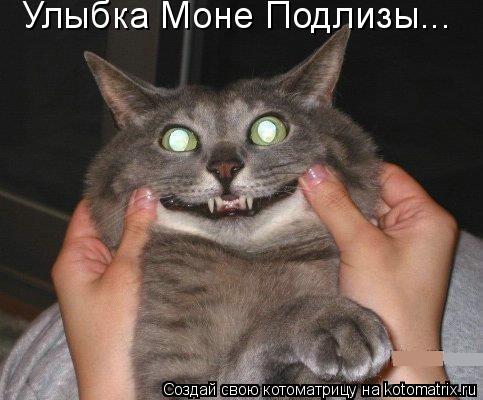 Улыбка Моне Подлизы...... Котоматрица: Улыбка Моне Подлизы...