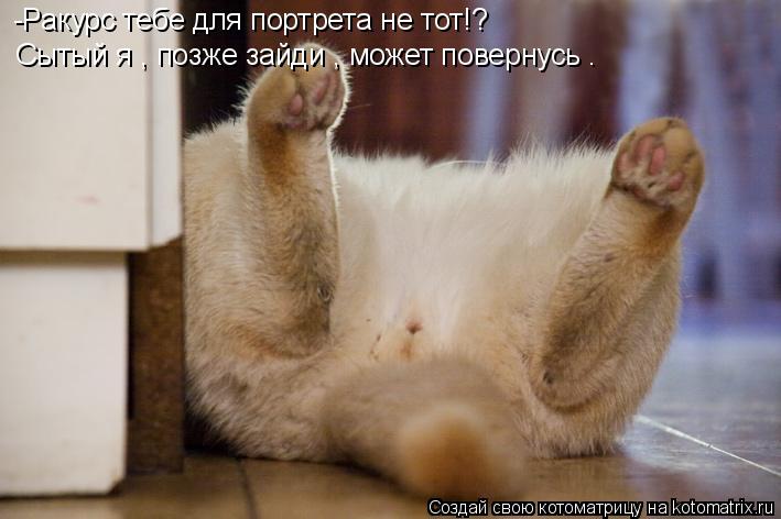 -Ракурс тебе для портрета не тот!? Сытый я , позже зайди , может повернусь .... Котоматрица: -Ракурс тебе для портрета не тот!? Сытый я , позже зайди , может повернусь .
