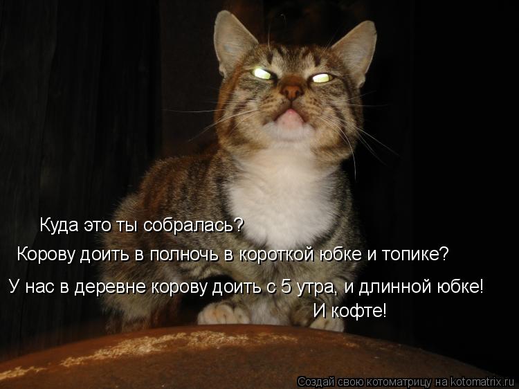 Корову доить в полночь в короткой юбке и топике? У нас в деревне корову доить с 5 утра, и длинной юбк... Котоматрица: Корову доить в полночь в короткой юбке и топике? У нас в деревне корову доить с 5 утра, и длинной юбке! Куда это ты собралась? И кофте!