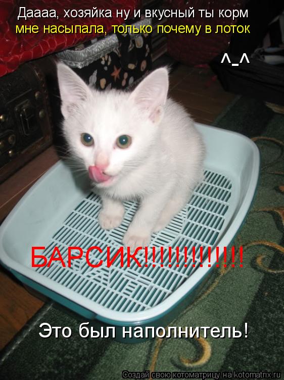 Даааа, хозяйка ну и вкусный ты корм мне насыпала, только почему в лоток БАРСИК!!!!!!!!!!!!! Это был н... Котоматрица: Даааа, хозяйка ну и вкусный ты корм мне насыпала, только почему в лоток БАРСИК!!!!!!!!!!!!! Это был наполнитель! ^-^