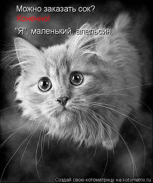 Можно заказать сок? Конечно! "Я", маленький, апельсин.... Котоматрица: Можно заказать сок? Конечно! "Я", маленький, апельсин.
