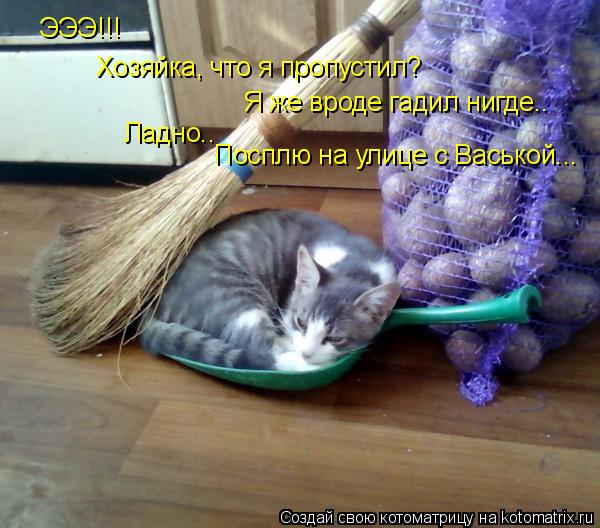 ЭЭЭ!!! Хозяйка, что я пропустил? Я же вроде гадил нигде.. Ладно.. Посплю на улице с Васькой...... Котоматрица: ЭЭЭ!!! Хозяйка, что я пропустил? Я же вроде гадил нигде.. Ладно.. Посплю на улице с Васькой...