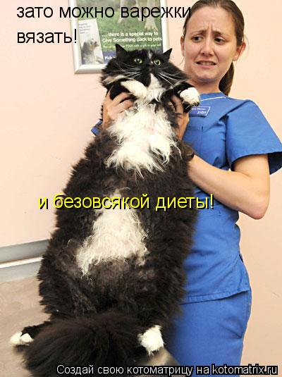 зато можно варежки вязать! и безовсякой диеты!... Котоматрица: зато можно варежки вязать! и безовсякой диеты!
