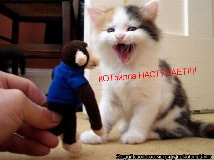 КОТзилла НАСТУПАЕТ!!!!... Котоматрица: КОТзилла НАСТУПАЕТ!!!!