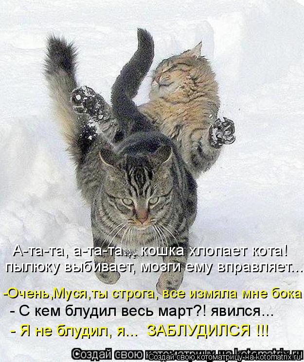 А-та-та, а-та-та... кошка хлопает кота! пылюку выбивает, мозги ему вправляет... -Очень,Муся,ты строга... Котоматрица: А-та-та, а-та-та... кошка хлопает кота! пылюку выбивает, мозги ему вправляет... -Очень,Муся,ты строга, все измяла мне бока - С кем блудил весь март