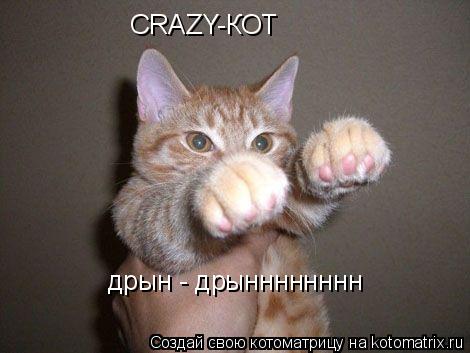 CRAZY-КОТ дрын - дрынннннннн... Котоматрица: CRAZY-КОТ дрын - дрынннннннн