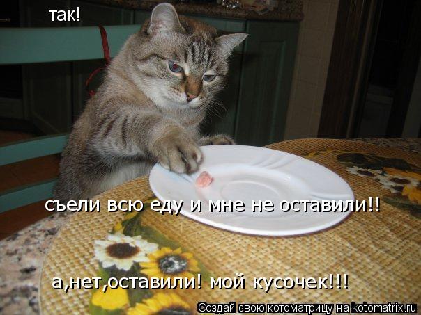 так! съели всю еду и мне не оставили!! а,нет,оставили! мой кусочек!!!... Котоматрица: так! съели всю еду и мне не оставили!! а,нет,оставили! мой кусочек!!!