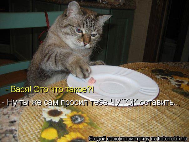 - Вася! Это что такое?! - Ну ты же сам просил тебе ЧУТОК оставить...... Котоматрица: - Вася! Это что такое?! - Ну ты же сам просил тебе ЧУТОК оставить...