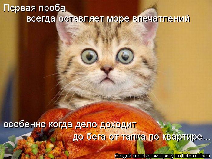 Первая проба всегда оставляет море впечатлений особенно когда дело доходит до бега от тапка по кварти... Котоматрица: Первая проба всегда оставляет море впечатлений особенно когда дело доходит до бега от тапка по квартире...