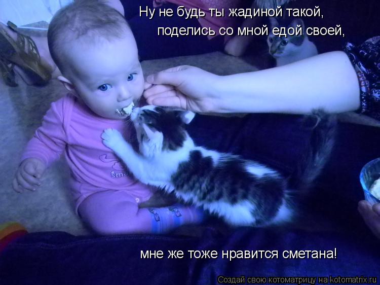 Ну не будь ты жадиной такой, поделись со мной едой своей, мне же тоже нравится сметана!... Котоматрица: Ну не будь ты жадиной такой, поделись со мной едой своей, мне же тоже нравится сметана!