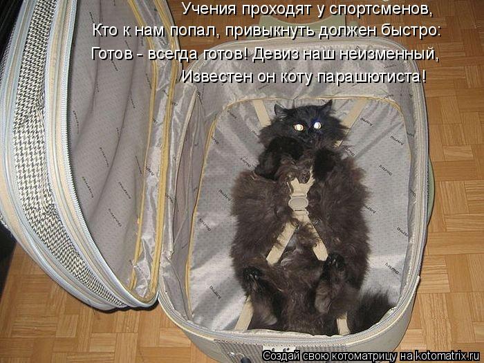 Учения проходят у спортсменов, Кто к нам попал, привыкнуть должен быстро: Известен он коту парашютист... Котоматрица: Учения проходят у спортсменов, Кто к нам попал, привыкнуть должен быстро: Известен он коту парашютиста! Готов - всегда готов! Девиз наш неизм