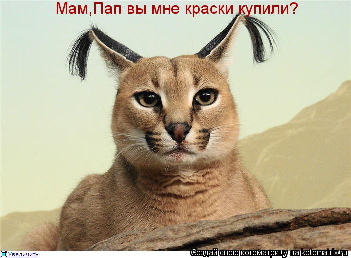 Мам,Пап вы мне краски купили?... Котоматрица: Мам,Пап вы мне краски купили?