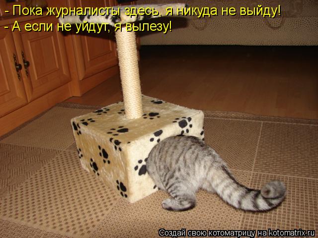 - Пока журналисты здесь, я никуда не выйду! - А если не уйдут, я вылезу!... Котоматрица: - Пока журналисты здесь, я никуда не выйду! - А если не уйдут, я вылезу!