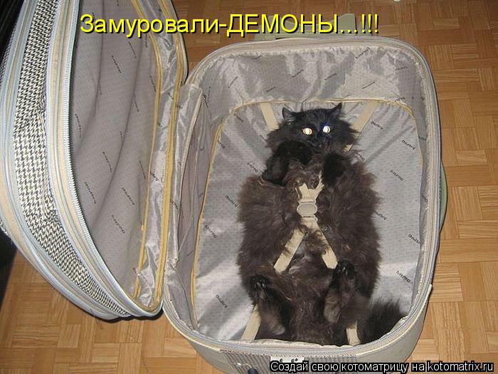 Замуровали-ДЕМОНЫ...!!!... Котоматрица: Замуровали-ДЕМОНЫ...!!!