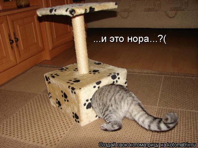 ...и это нора...?(... Котоматрица: ...и это нора...?(