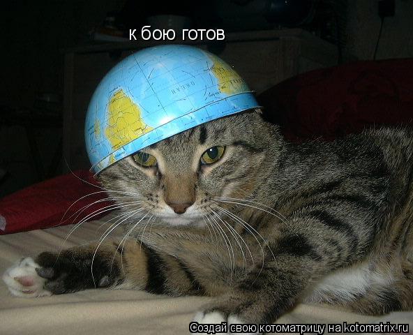 к бою готов... Котоматрица: к бою готов